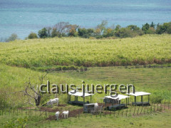 Presqu Ile de la Caravelle