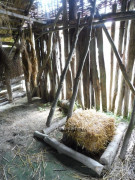 Pestenacker Prähistorische Siedlung