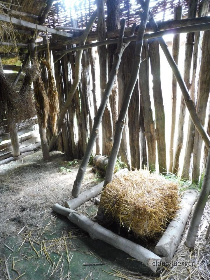 Pestenacker Prähistorische Siedlung