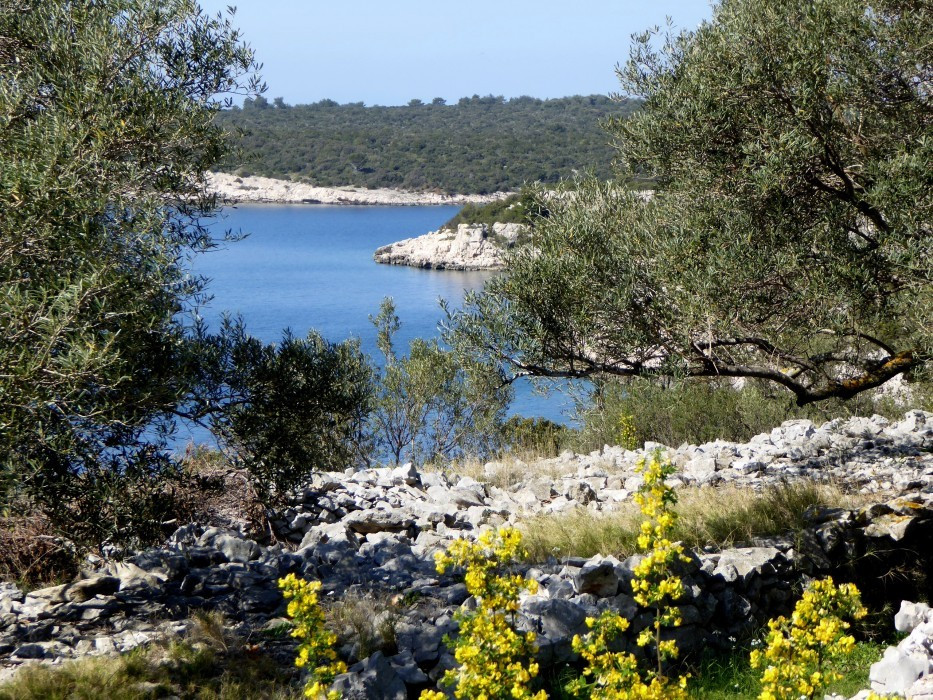 Stracincica (4)