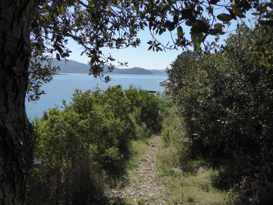 Stracincica (5)