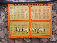 Case-Pilote Martinique