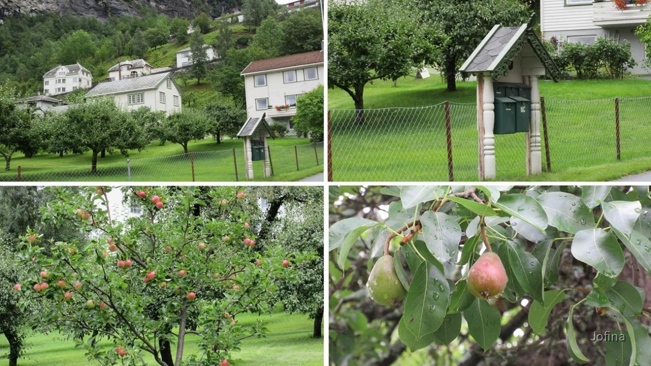 Geiranger_35