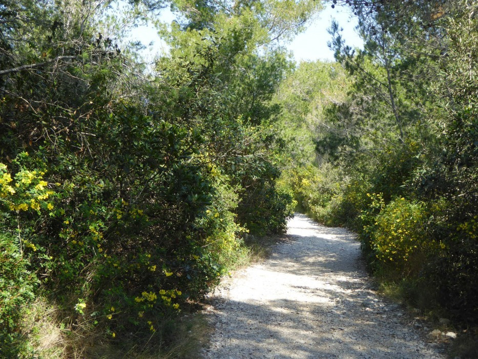 Weg zur Martinabok (2)