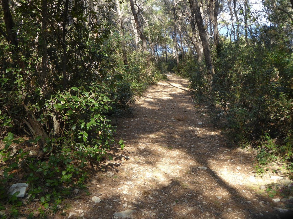 Weg zur Martinabok (1)
