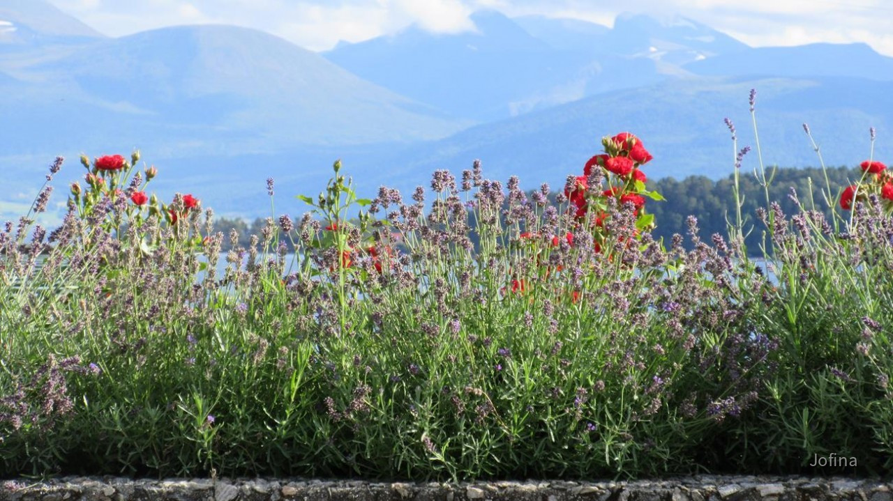 Molde_23