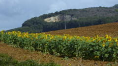 Abschied  vom Sommer
