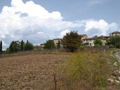 P1050447c