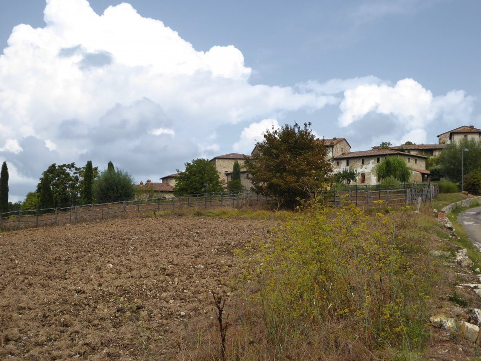 P1050447c