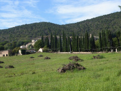Torri Dorf (1)