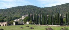 Torri Dorf (2)