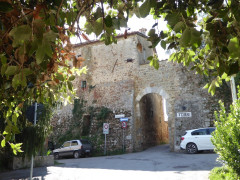 Torri Dorf (3)