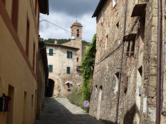 Torri Dorf (6)