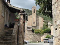 Torri Dorf (8)