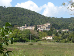 Torri Dorf (10)