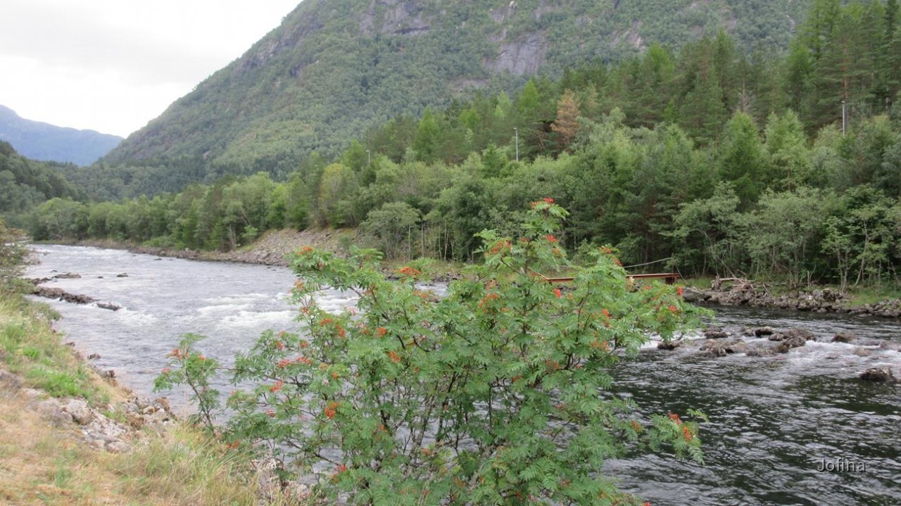 Eidfjord_16