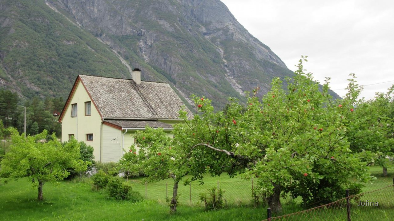 Eidfjord_24