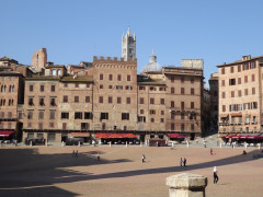 Siena Campo