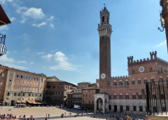 Siena Campo