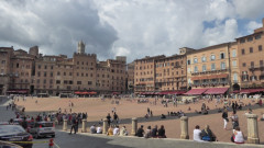 Siena Campo