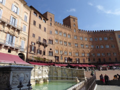 Siena Campo