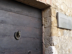 Siena Campo