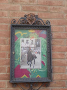 Contrada