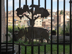 Contrada