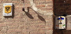 Contrada