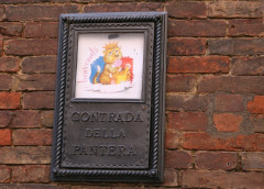 Contrada