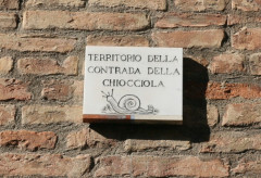 Contrada