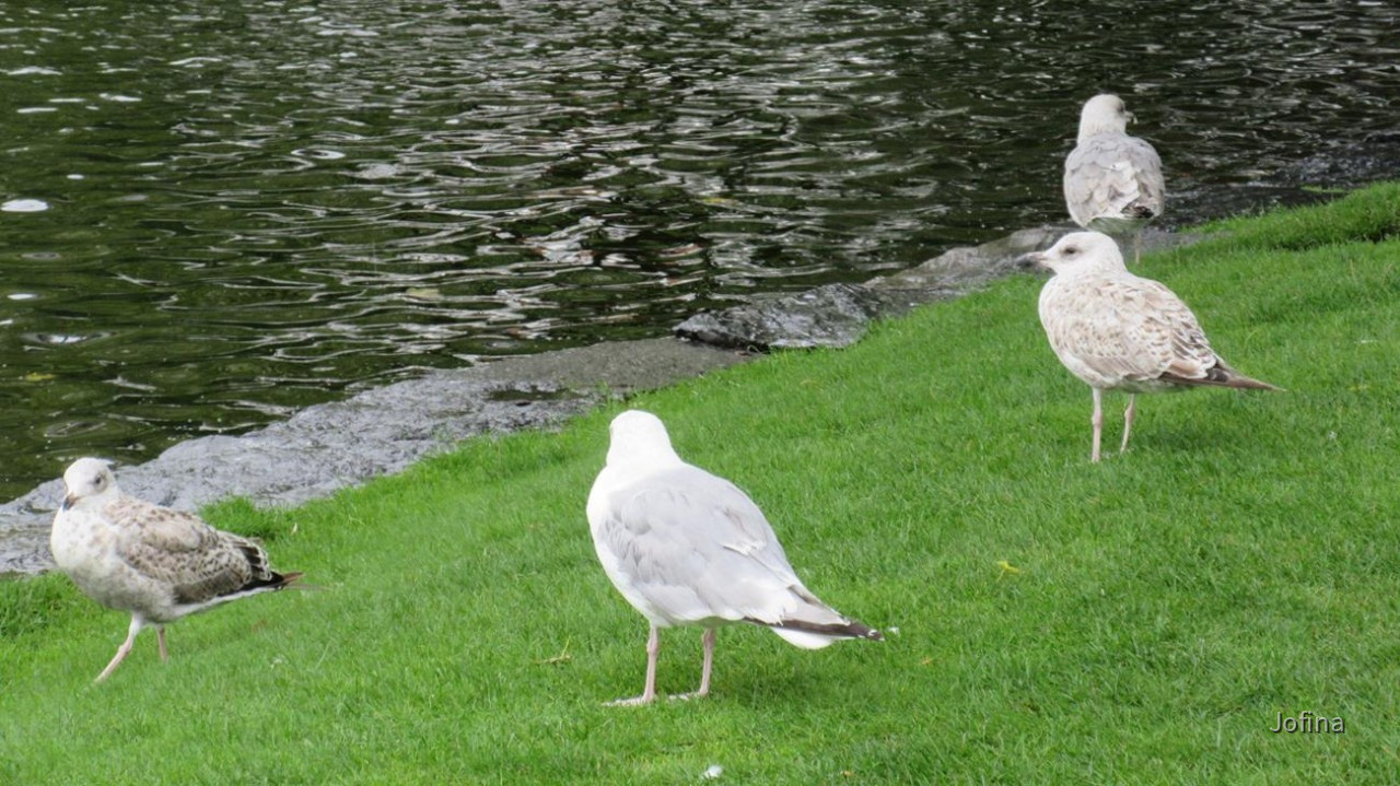 Stavanger_27