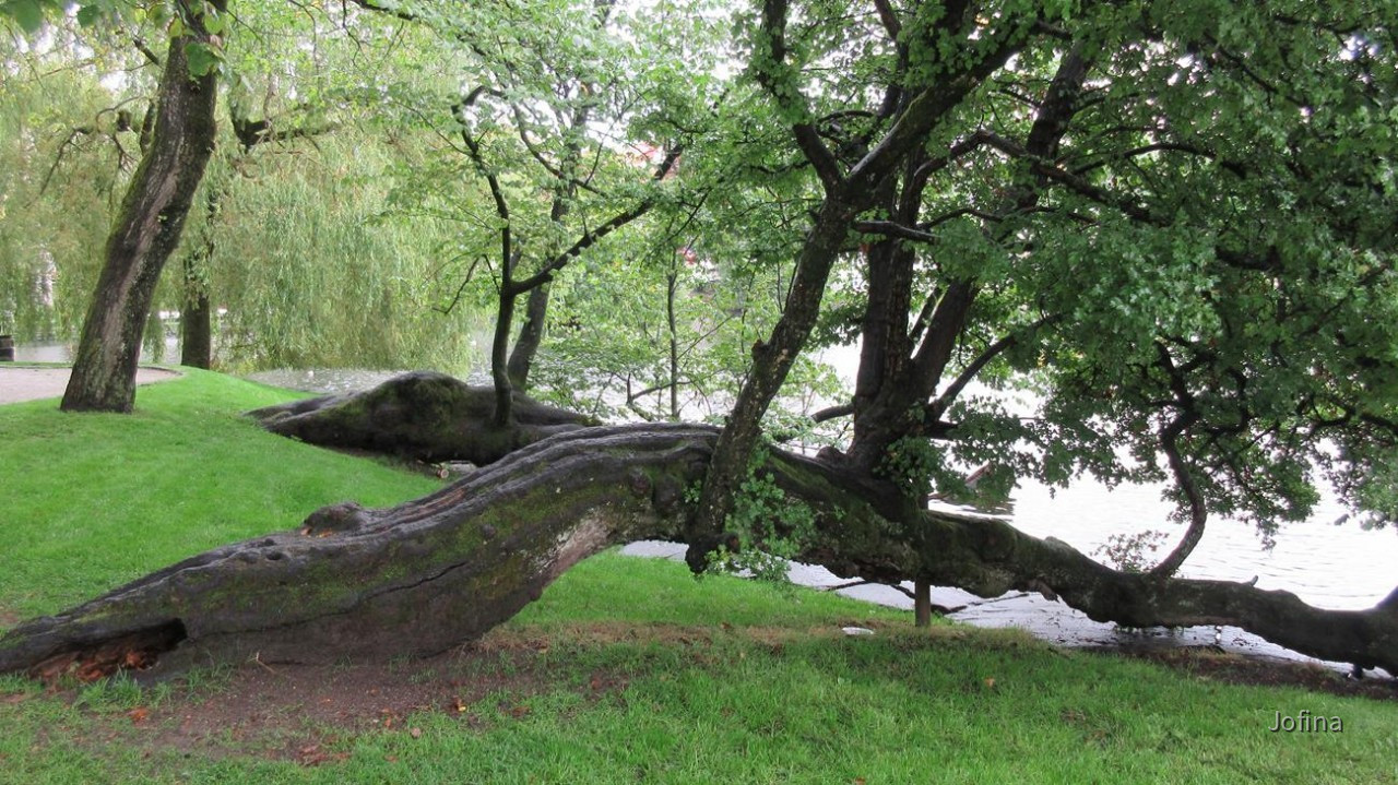 Stavanger_29