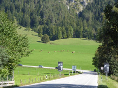 Rosengasse Sudelfeld