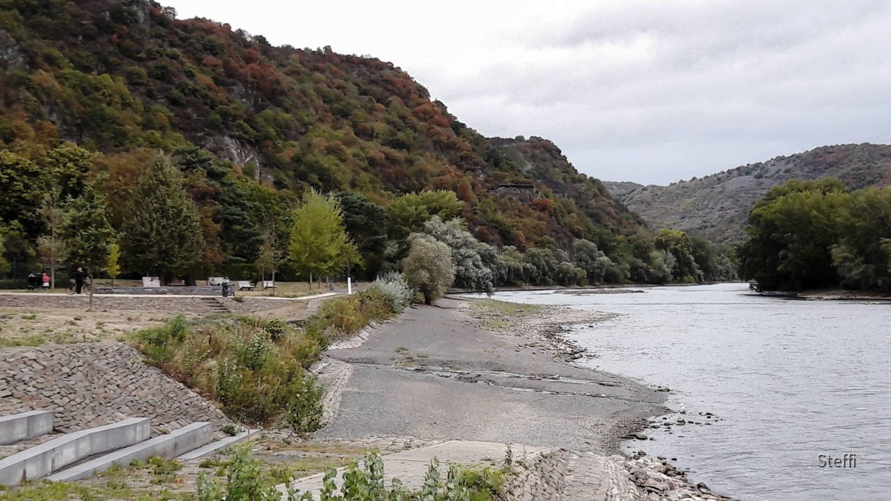 Bacharach Ufer Rhein