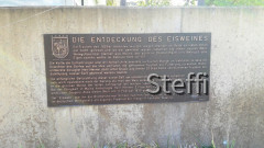 Eiswein Infotafel
