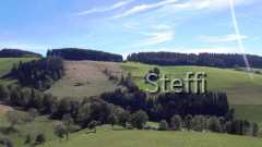 Glottertal Schwarzwald 4