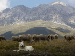 September 2016 Abruzzen Campo Imperatore