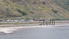 Rhein Niedrigwasser bei Burg Pfalzgrafenstein Kaub