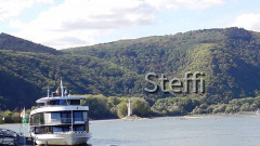 Rheinblick Bingen Mäuseturm