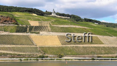 Rheinblick Bingen Niederwaldenkmal