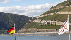 Rheinblick mit Burg Ehrenfels