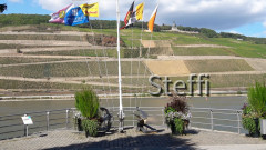 Schiffsschraube Bingen am Rheinufer