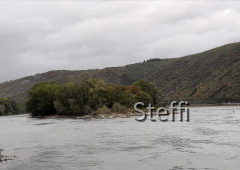 Weininsel Heyles` en Werth Bacharach