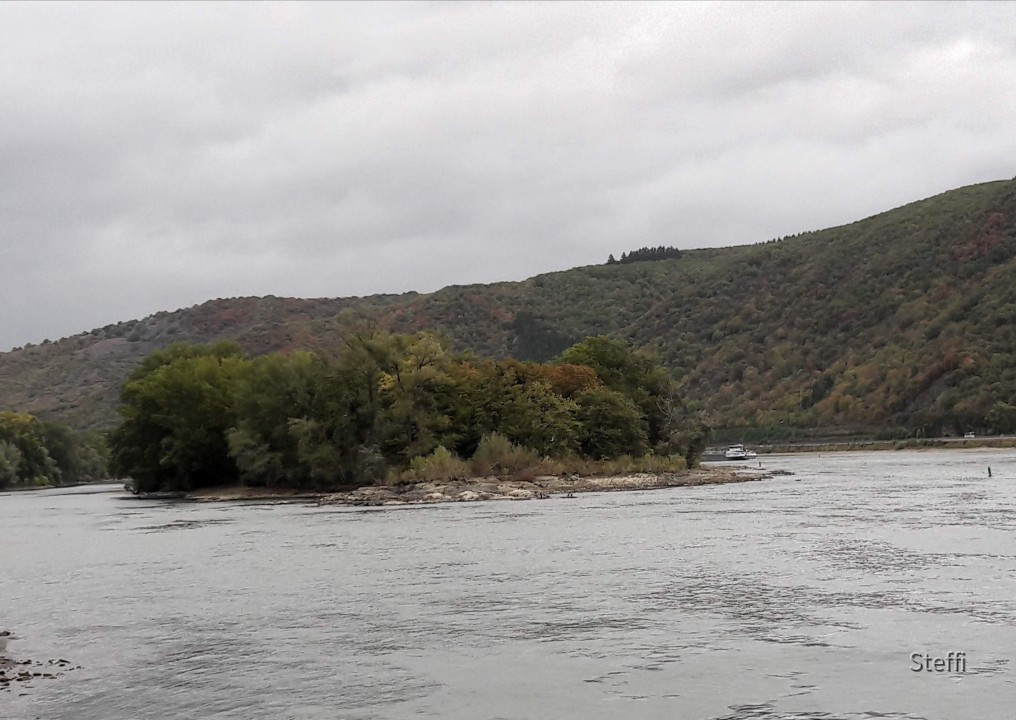 Weininsel Heyles` en Werth Bacharach