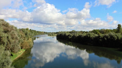 Grenzegänger
