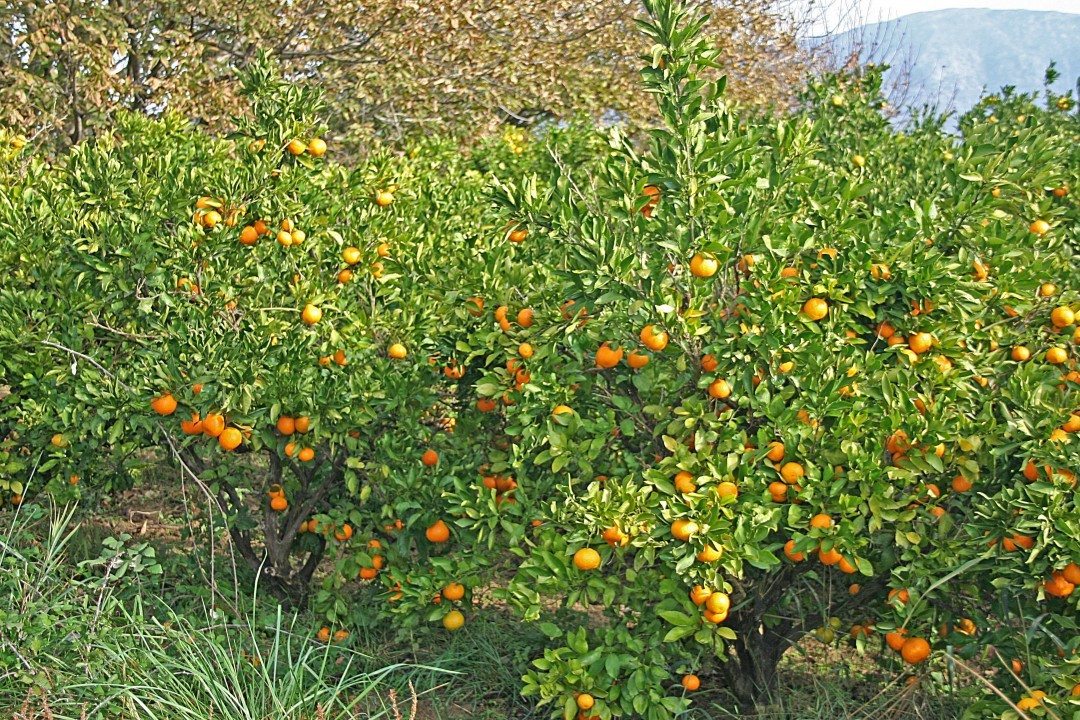 Herbst in Kroatien