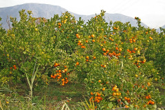 Herbst in Kroatien