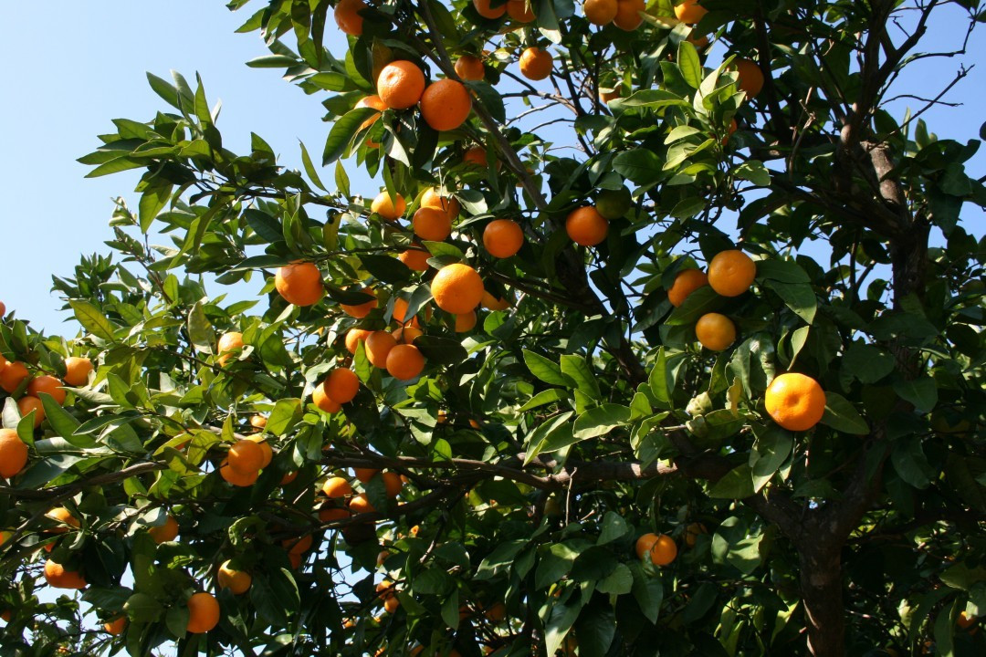 Herbst in Kroatien