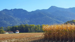 Herbst bei Übersee